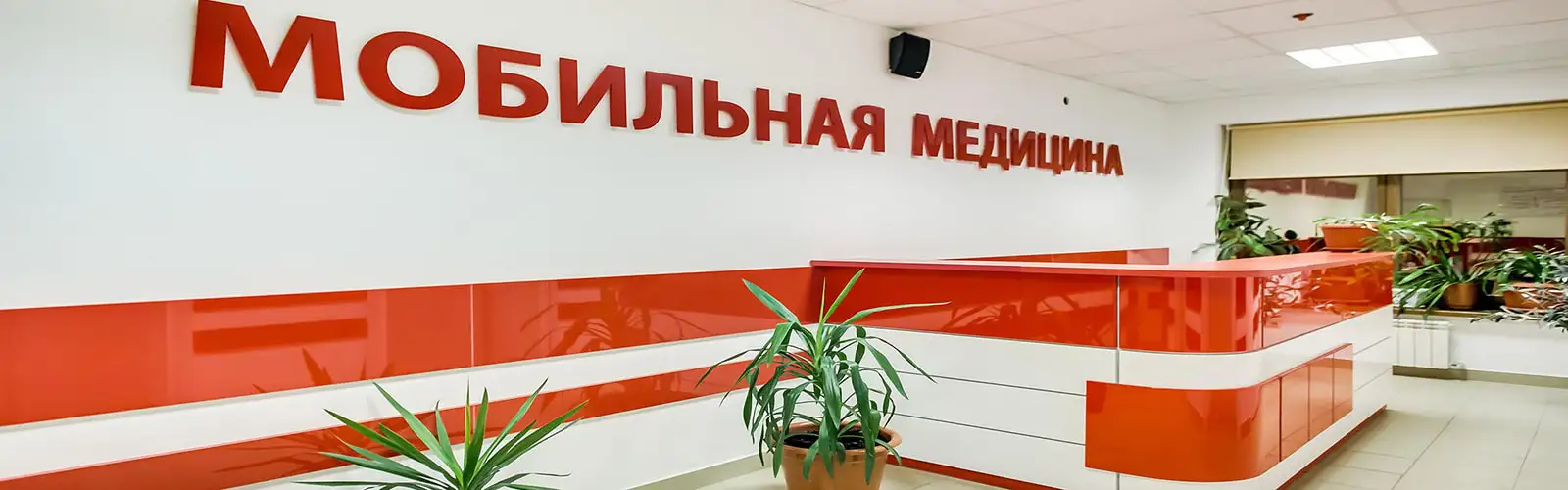 Справки для учащихся